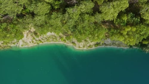 Aerial Top Down Flight Over Amazing Lake. Beautiful Lakeshore, Pine Trees and Fresh Green Plants