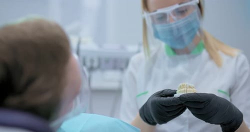 Dental Casts of Teeth Veneers