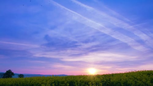 Sunrise over the Rapeseed Field