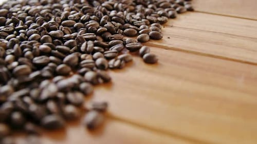 Close-up of scattered coffee beans