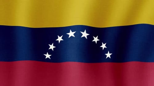 Realistic Waving Flag of Venezuela Seamless Loop