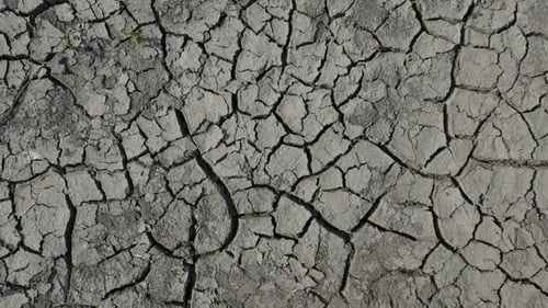 Waterless Soil Due Lack of Moisture