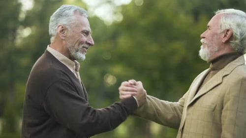 Elderly Male Friends Shaking Hands and Hugging, Meeting Brothers, Greeting
