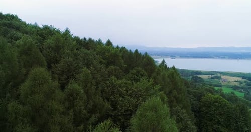 Aerial Shot of Woods Forest Nature Landscape