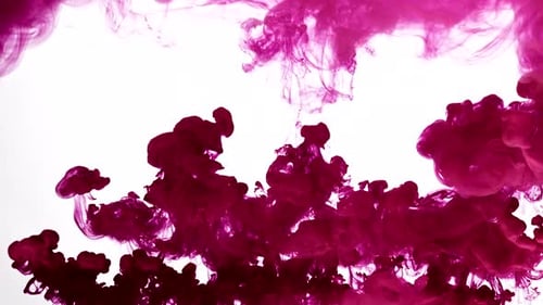 Pink Ink Spreads in Water Abstractly