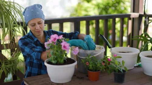 Woman Gardening on Patio on a Sunny Day