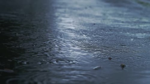 Rain
