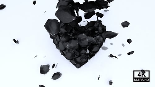 Elegant Black Rose Petals Falling to Form Heart Shape Reveal