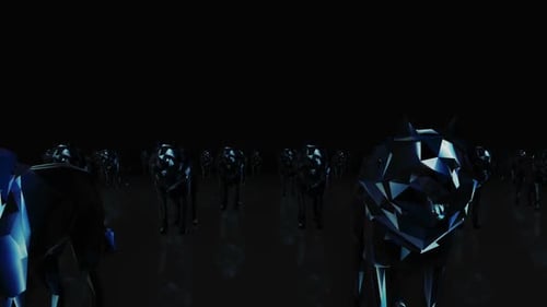 Wolf Neon Hd
