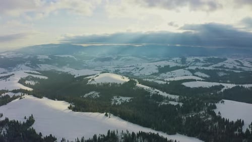 High Snowy Mountain Covered with Evergreen Fir Trees on a Sunny Cold Day