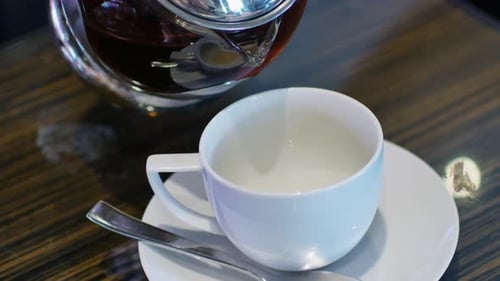 Gießen Sie frisch gebrühten schwarzen Tee in eine Tasse Tee für die Nachmittagsteezeit