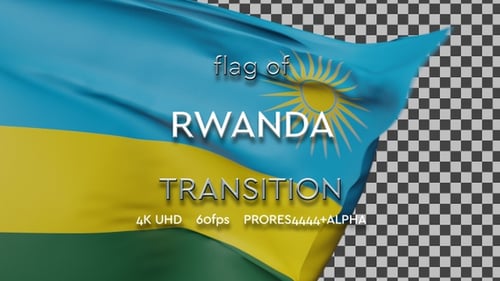 Realistic Waving Flag Transition