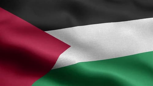 Palestine Flag Waving Seamless Loop Background