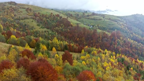 Flu Over Landscapes of Green Hills Under a Layer of White and Fluffy Clouds