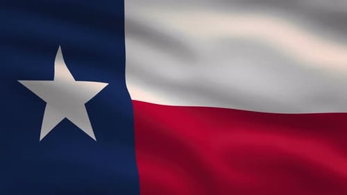 Realistic Waving Flag of Texas State