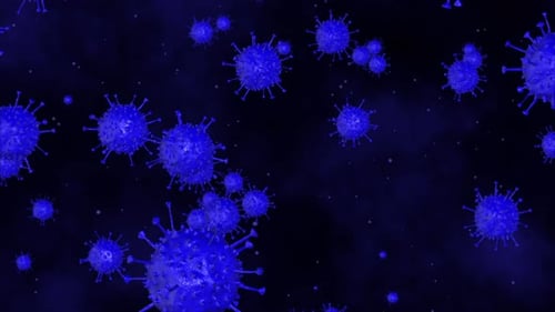 Animated Microscopic View of Blue Virus Cells Flowing
