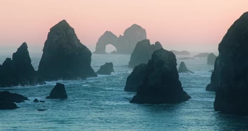 Cinematic b Roll Nature Landscape Footage Wild Nature Park in Pink Sunset Light