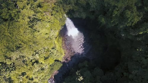 A água doce flui na selva selvagem