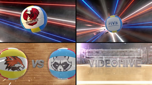 Volleyball-Logo enthüllt