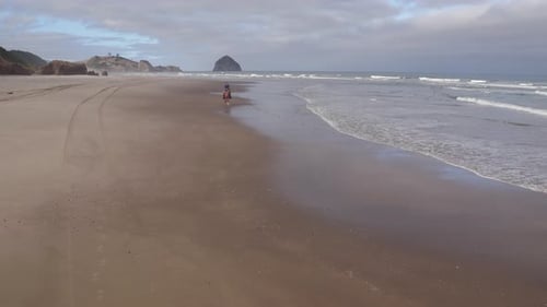 Aerial view of women riding horses at beach