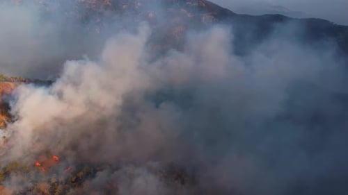 Aerial View of Wildfire Burning in the Daytime