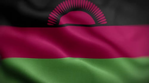 Realistic Waving Malawi Flag Animation with Fabric Texture
