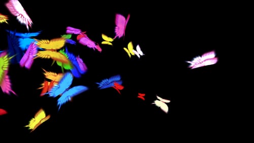 Abstract Colorful Butterflies Swarm Transition