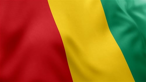 Guinea National Flag Realistic Waving Loop