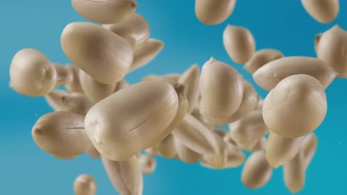 Shelled Peanuts Floating in Air on Blue