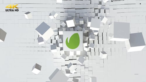 Logo Cubic Explosion