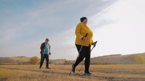 Mature Couple Nordic Walking on Pathway in the Meadow