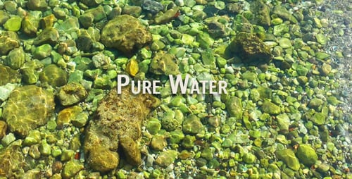 Pure Water