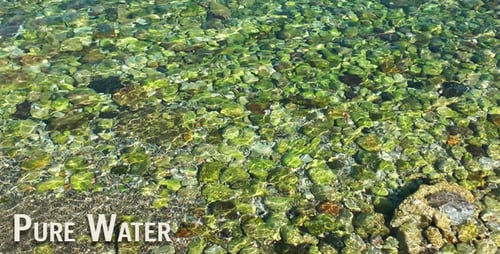 Crystal Clear Water Flows Over Green Rocks