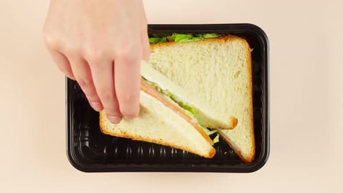 Salmon Sandwich Placed in Tray