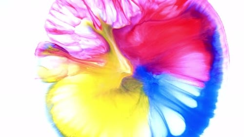 Azuis, amarelos e vermelhos, colorindo um fundo branco leitoso, colorido, abstrato