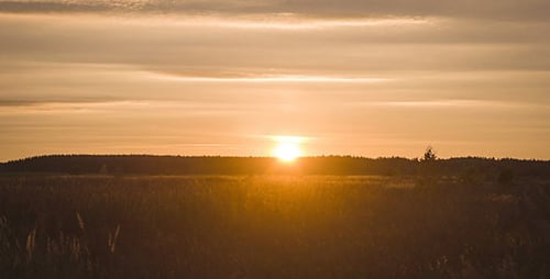 Golden Hour Sunset Over Rural Field