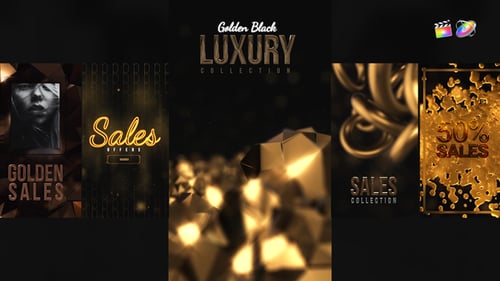 Luxury Gold and Black Sales Stories Template