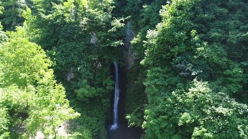 Scenic Waterfall Flowing Through a Verdant Forest