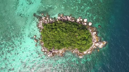 Tropical Island Coral Reef