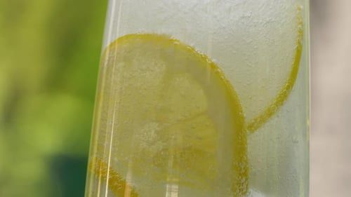 Sparkling Soda Water with Lemon and Ice Cubes