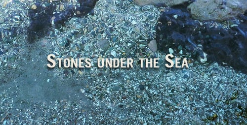 Piedras bajo el mar
