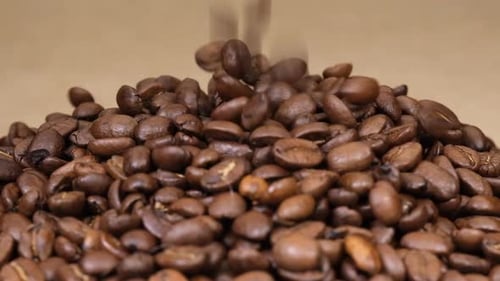 Roasted Coffee Beans Falling into a Pile