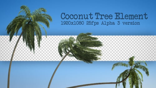 Animated Swaying Coconut Palm Tree Element with Alpha Channel