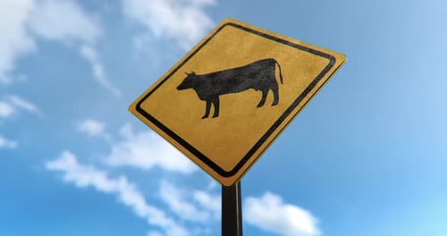 Sinal de Cruzamento de Vaca - 4K