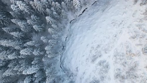 Top Down Aerial View of Snow Covered Evergreen Pine Forest After Heavy Snowfall in Winter Mountain