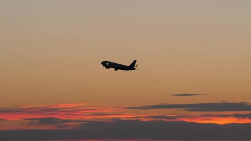 Black Silhouette of Flying Airplane in the Evening Sky
