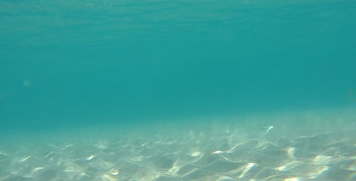 La luz del sol bajo el agua en un fondo arenoso