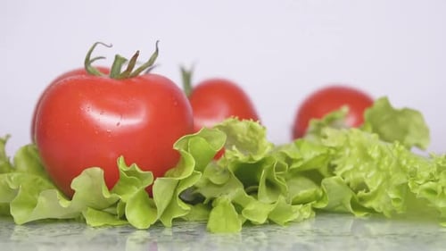 Fresh Red Tomatoes on Crisp Green Lettuce