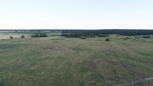 Aerial View of Green Field With Trees