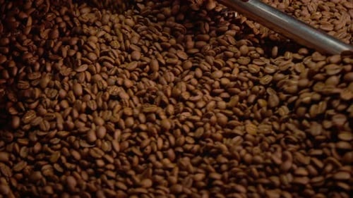Mixing Coffee Beans in Roasting Machine